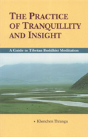 The Practice Of Tranquillity And Insight - Preview