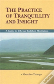 Capa do artigo The Practice Of Tranquillity And Insight