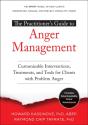 The Practitioner'S Guide To Anger Management - Preview