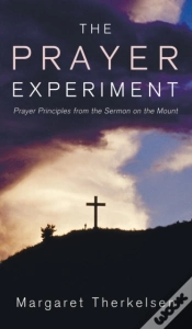 Capa do artigo The Prayer Experiment