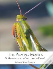 The Praying Mantis