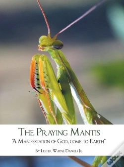 Capa do artigo The Praying Mantis