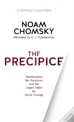 Capa do artigo The Precipice