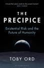 The Precipice - Preview