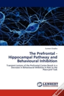 Capa do artigo The Prefrontal - Hippocampal Pathway And Behavioural Inhibition