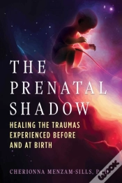 Capa do artigo The Prenatal Shadow