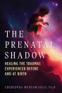 The Prenatal Shadow - Preview