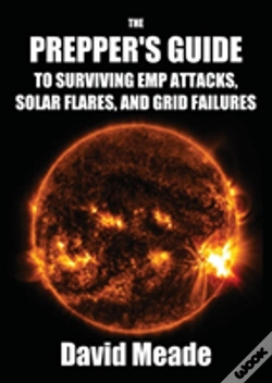 Capa do artigo The Prepper'S Guide To Surviving Emp Attacks, Solar Flares And Grid Failures