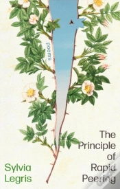 Capa do artigo The Principle Of Rapid Peering