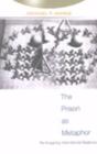 The Prison As Metaphor - Preview