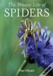 Capa do artigo The Private Life Of Spiders