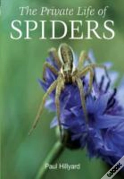 Capa do artigo The Private Life Of Spiders