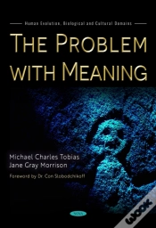 Capa do artigo The Problem With Meaning