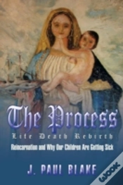 Capa do artigo The Process: Life Death Rebirth