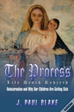 Capa do artigo The Process: Life Death Rebirth