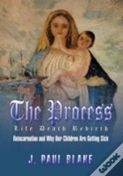 Capa do artigo The Process: Life Death Rebirth