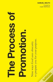 Capa do artigo The Process Of Promotion