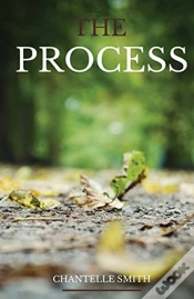 Capa do artigo The Process