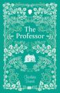 The Professor - Preview