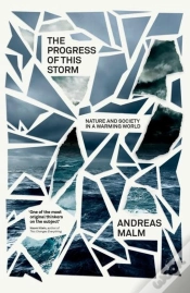 Capa do artigo The Progress Of This Storm