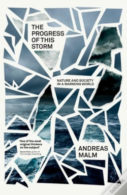 Capa do artigo The Progress Of This Storm