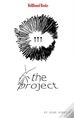 Capa do artigo The Project