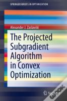 The Projected Subgradient Algorithm In Convex Optimization