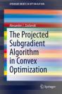 The Projected Subgradient Algorithm In Convex Optimization - Preview