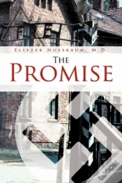 Capa do artigo The Promise