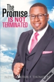 Capa do artigo The Promise Is Not Terminated