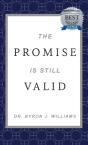 The Promise Is Still Valid - Preview