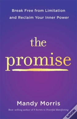 Capa do artigo The Promise