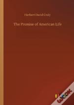 The Promise Of American Life