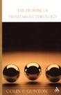 The Promise Of Trinitarian Theology - Preview