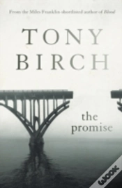 Capa do artigo The Promise