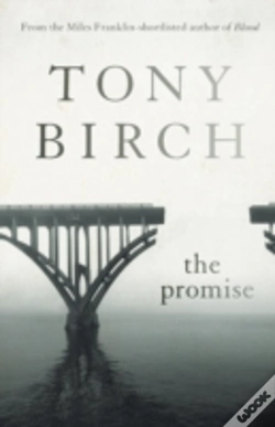 Capa do artigo The Promise