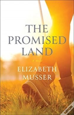 Capa do artigo The Promised Land