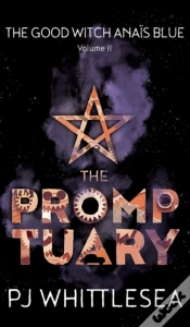 Capa do artigo The Promptuary