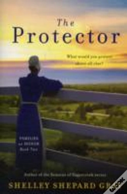 Capa do artigo The Protector