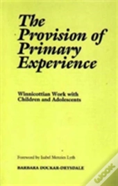 The Provision Of The Primary Experience