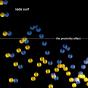 The Proximity Effect - CD - Preview
