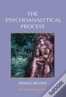 The Psychoanalytical Process