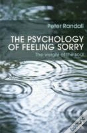 Capa do artigo The Psychology Of Feeling Sorry