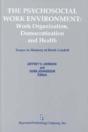 The Psychosocial Work Environment - Preview
