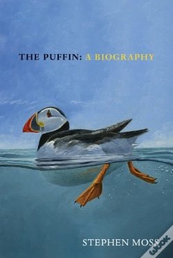 Capa do artigo The Puffin