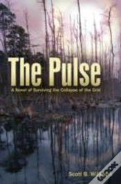 Capa do artigo The Pulse