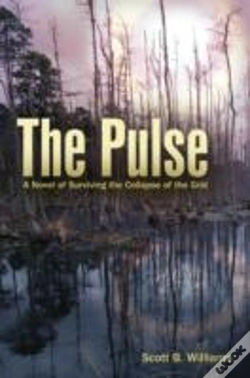 Capa do artigo The Pulse