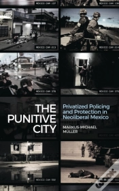Capa do artigo The Punitive City