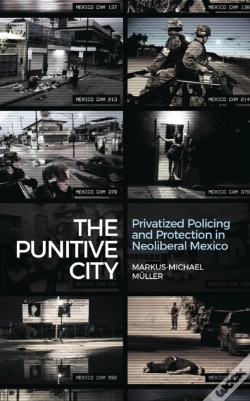 Capa do artigo The Punitive City