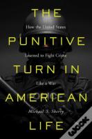 The Punitive Turn In American Life